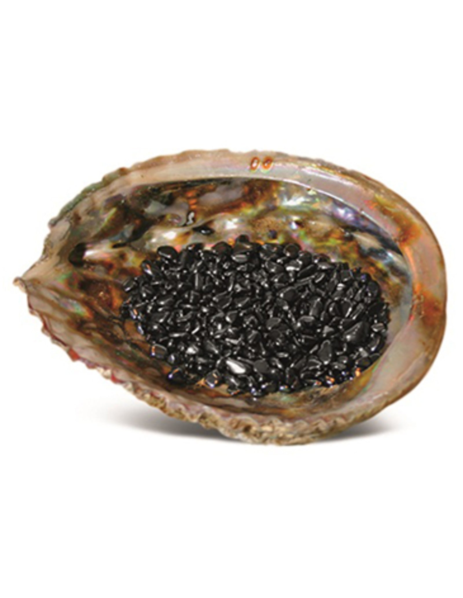 Abalone ontlaadschelp