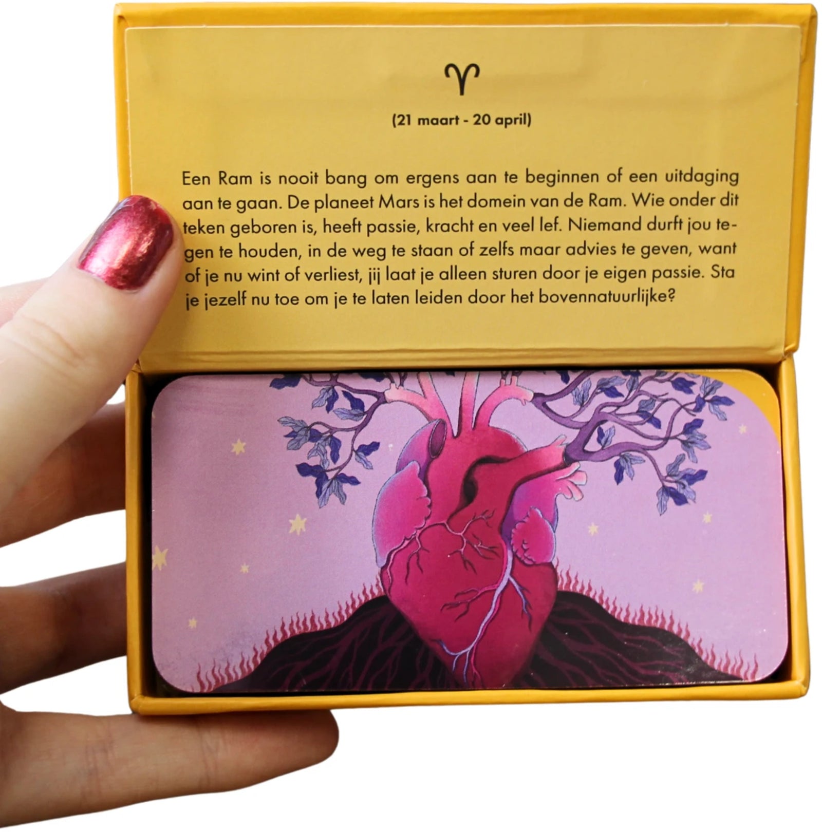 Astro pocket Ram