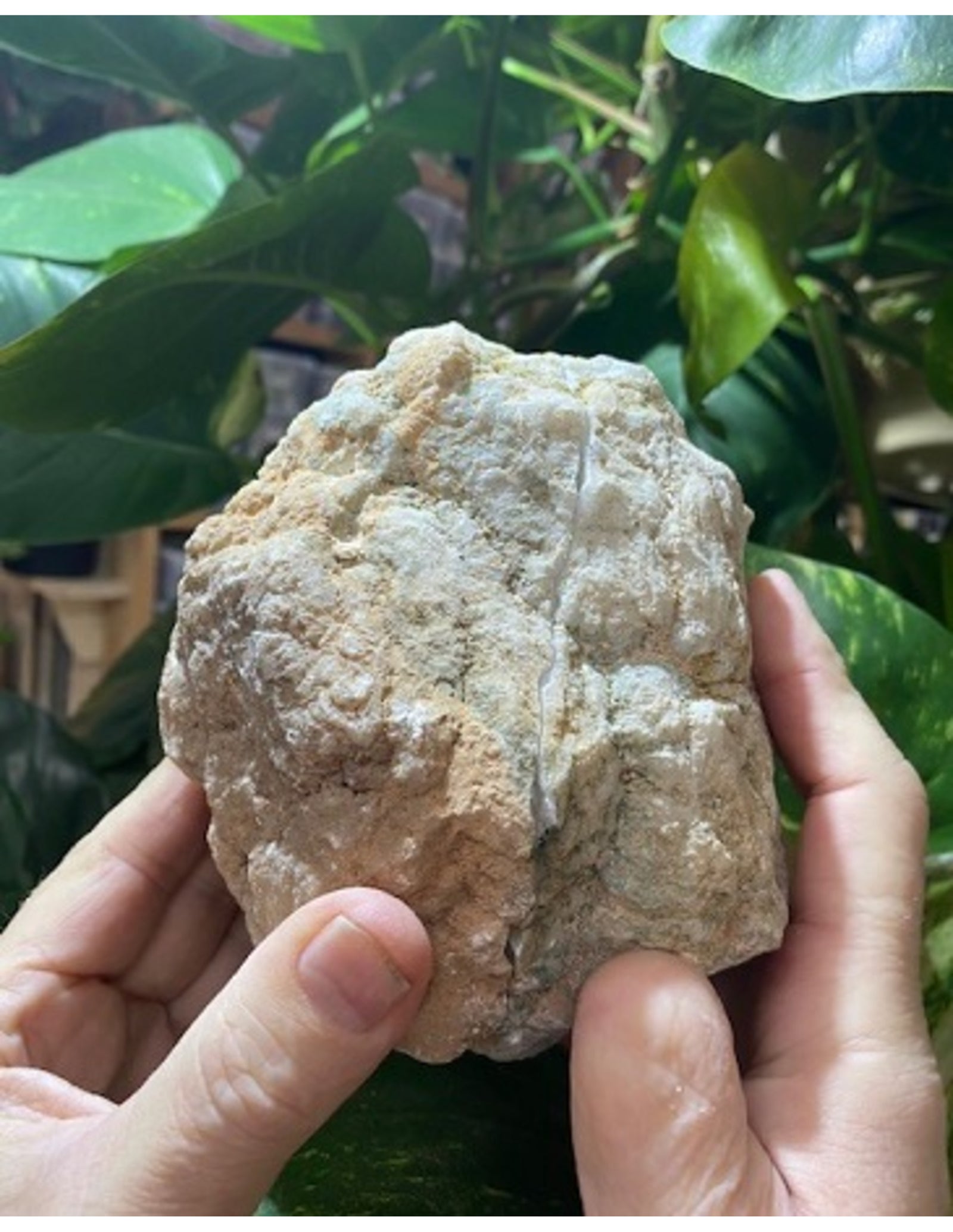 Bergkristal geode paar 10-12 cm