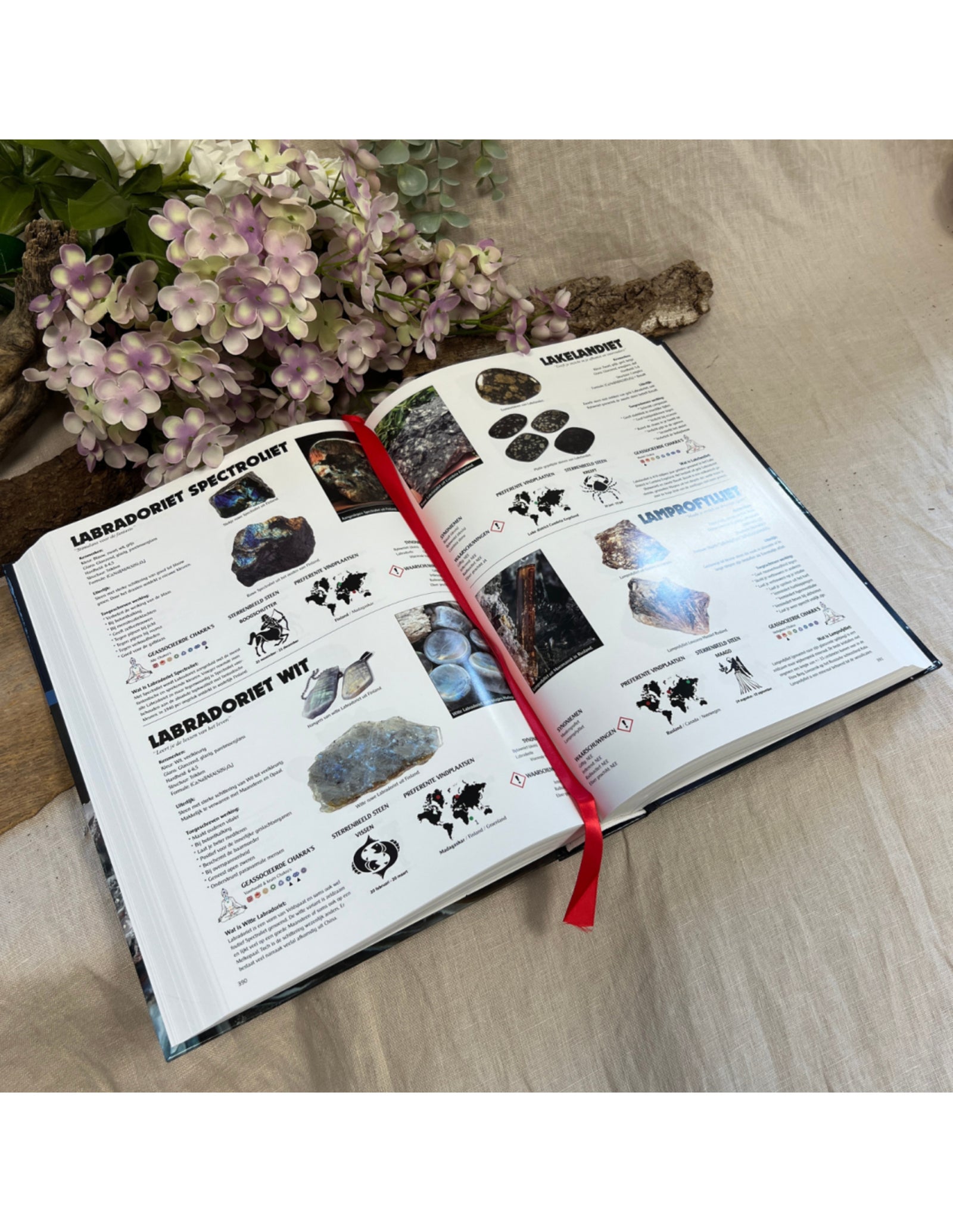 Boek: Edelsteen therapie 3.0