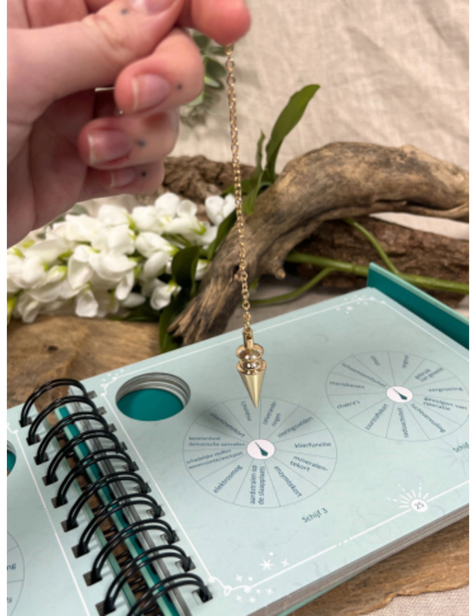 Boek: Pendelset