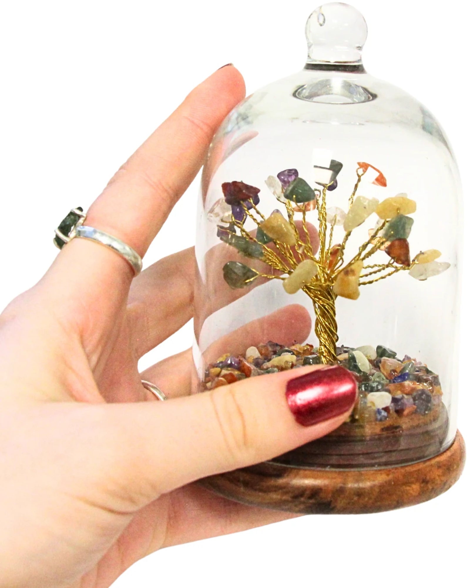 Chakra edelsteen boompje onder glazen stolp