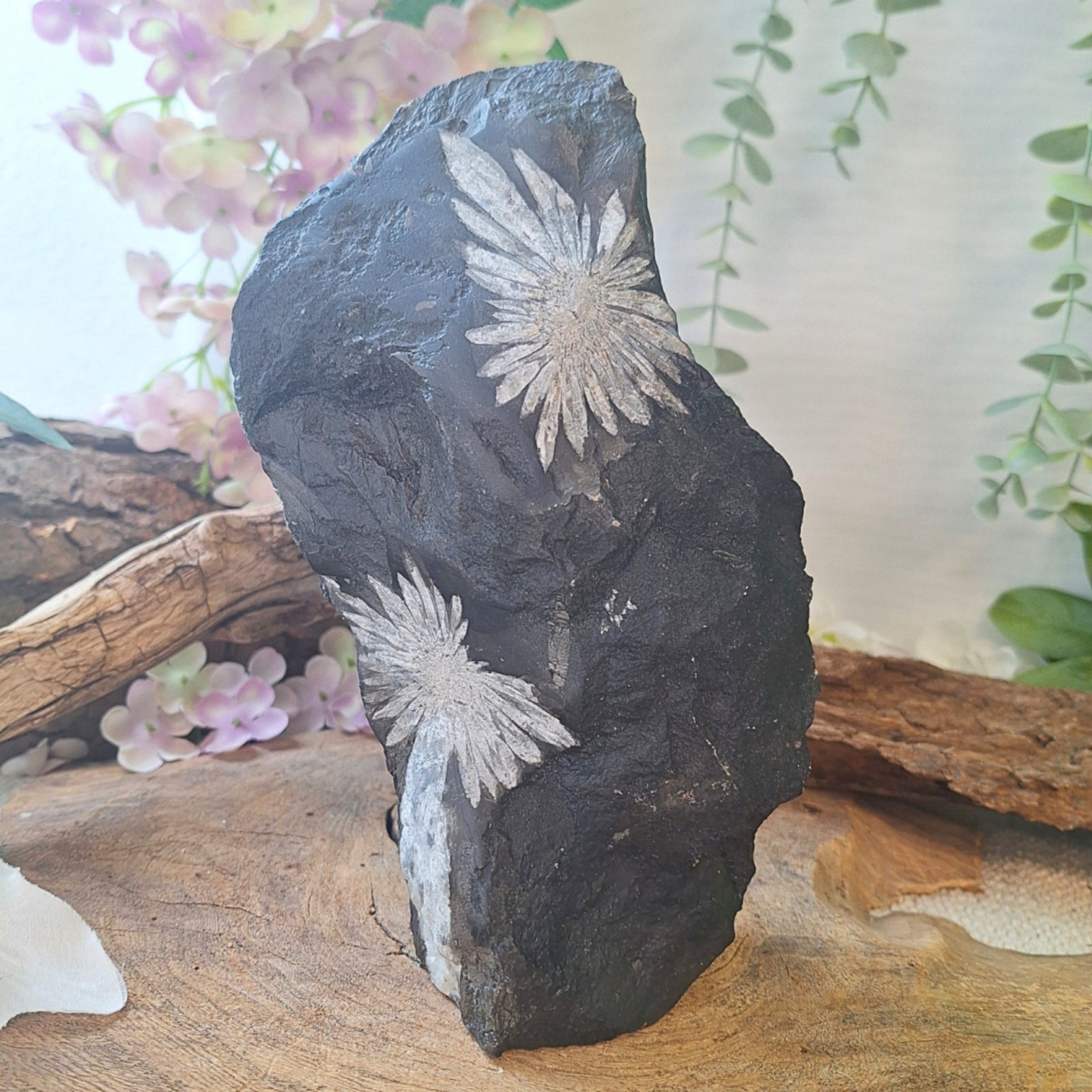Chrysantensteen sculptuur nr.07