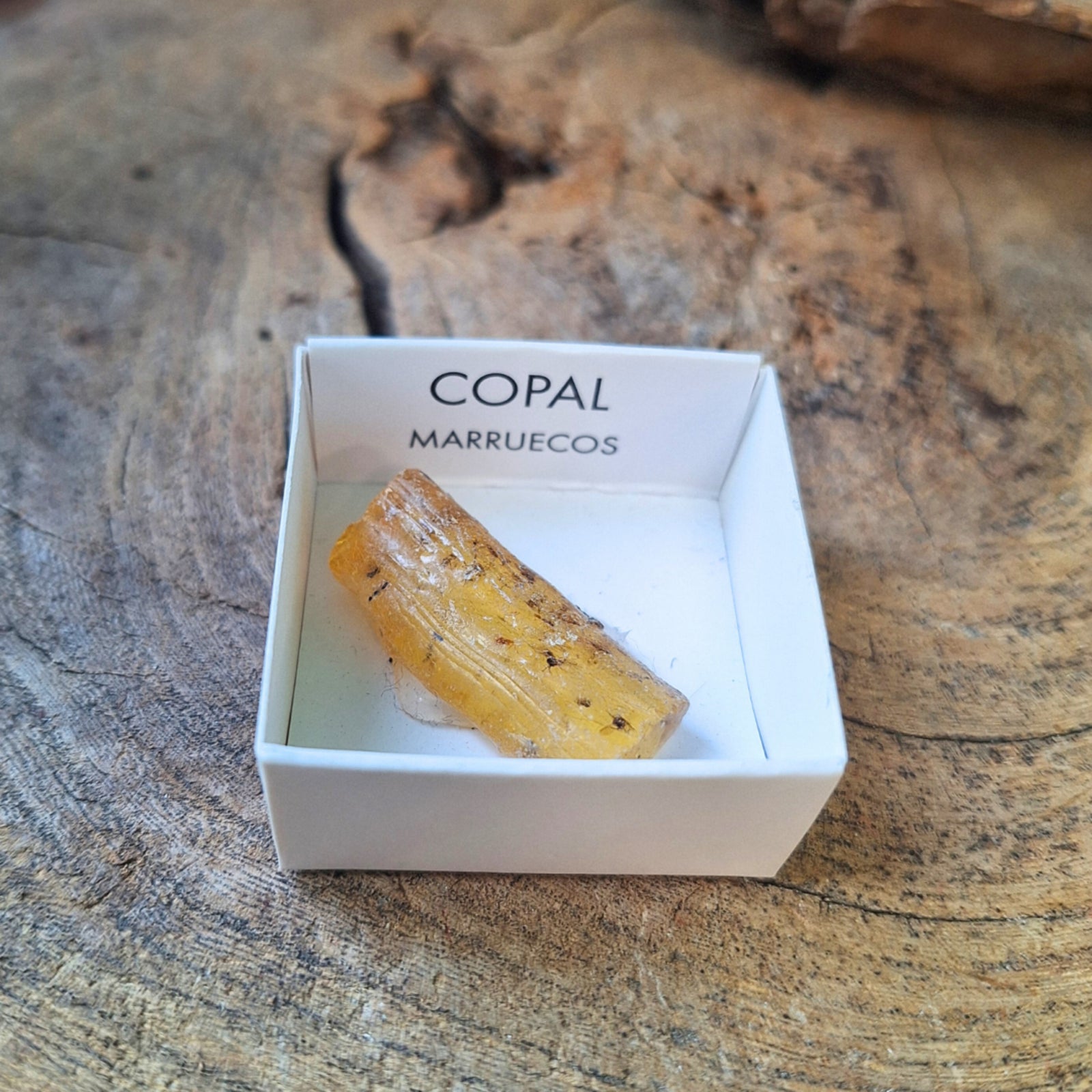 Doosje Copal