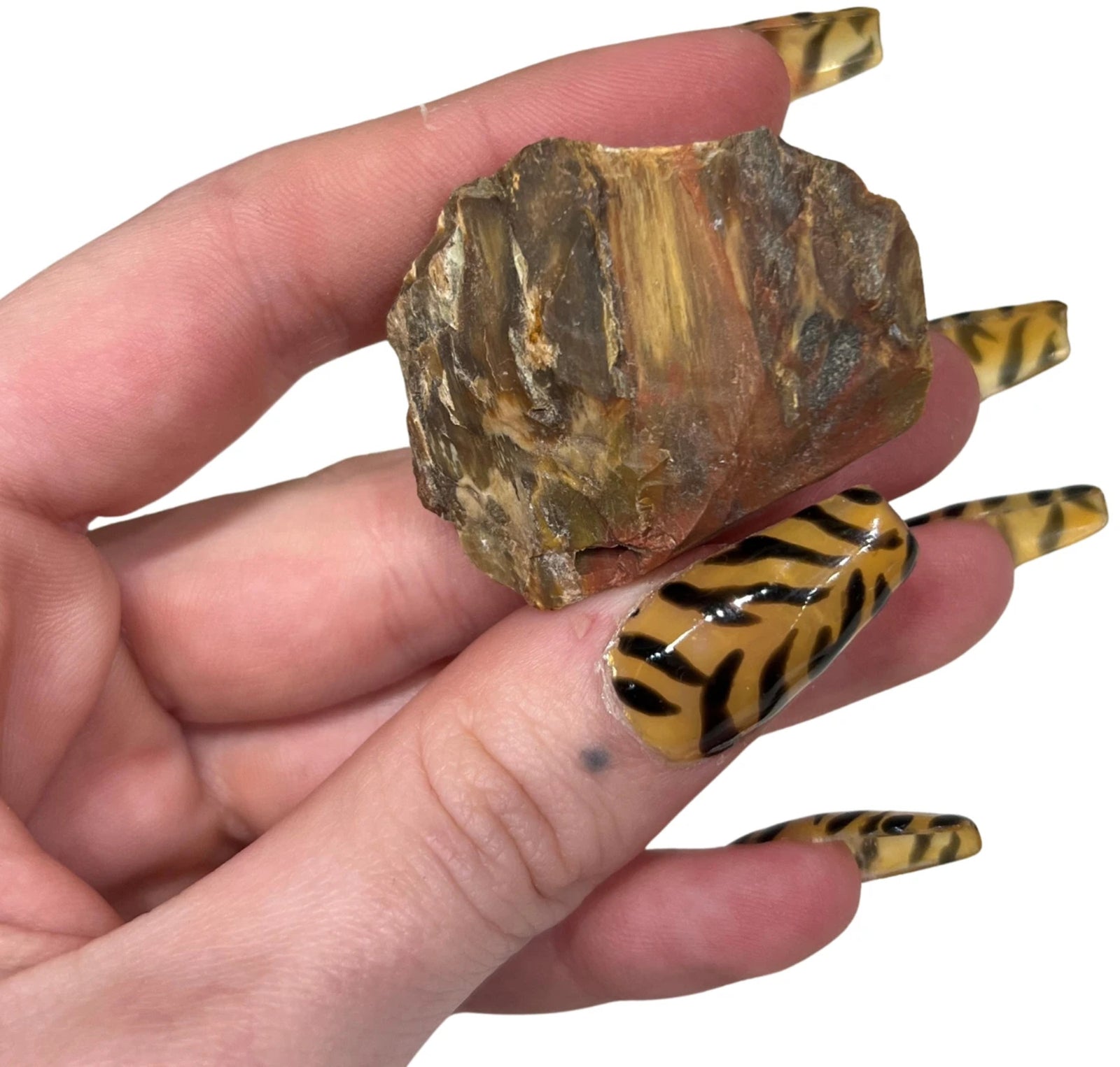 Doosje Versteend hout
