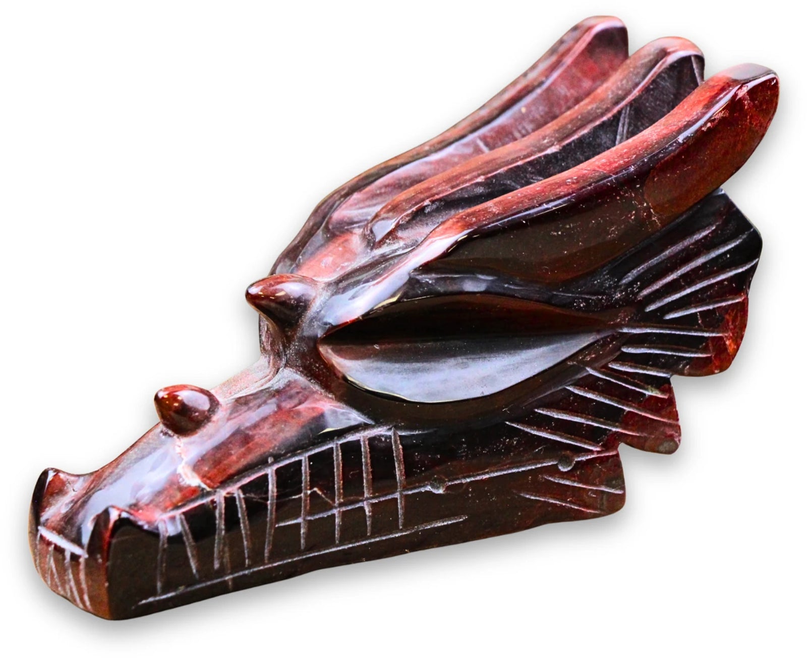 Drakenschedel Kattenoog nr.40