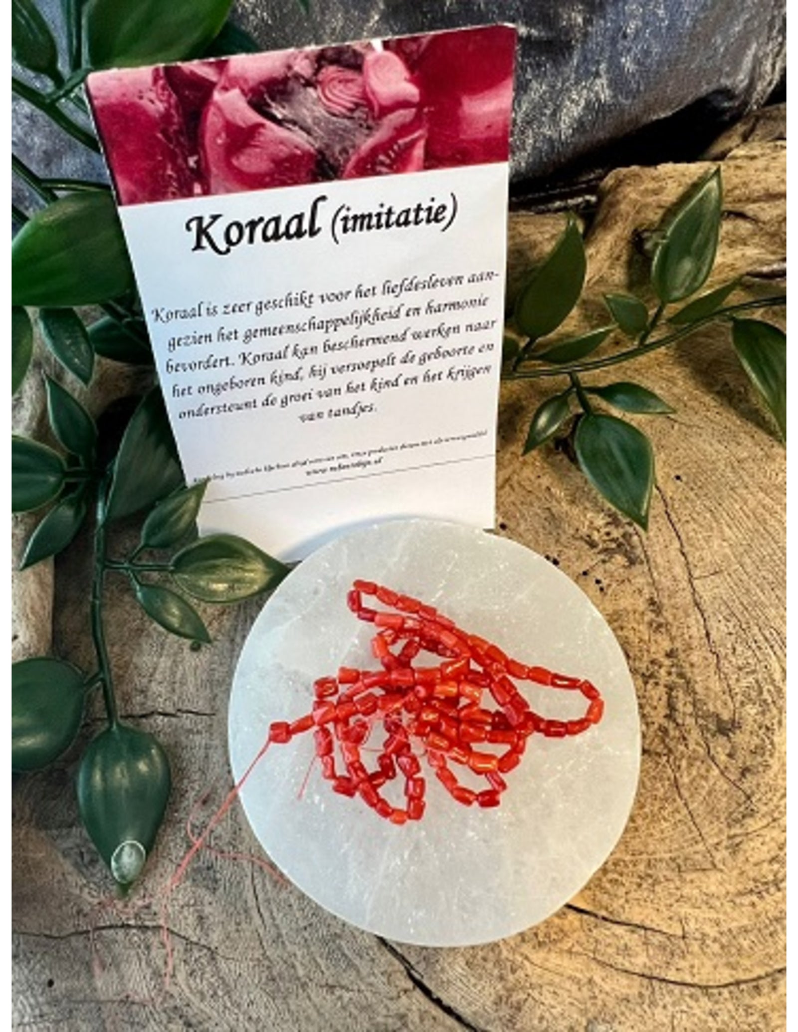Koraal split kralen streng (imitatie)
