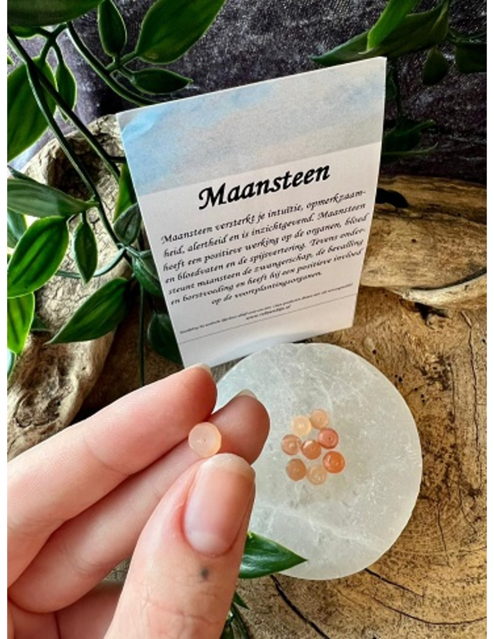 Kralen Maansteen oranje facet 7 mm - 9 st.