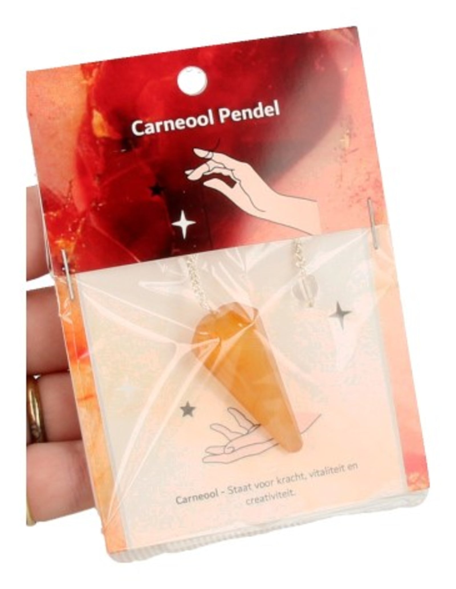 Pendel facet + kaart Carneool