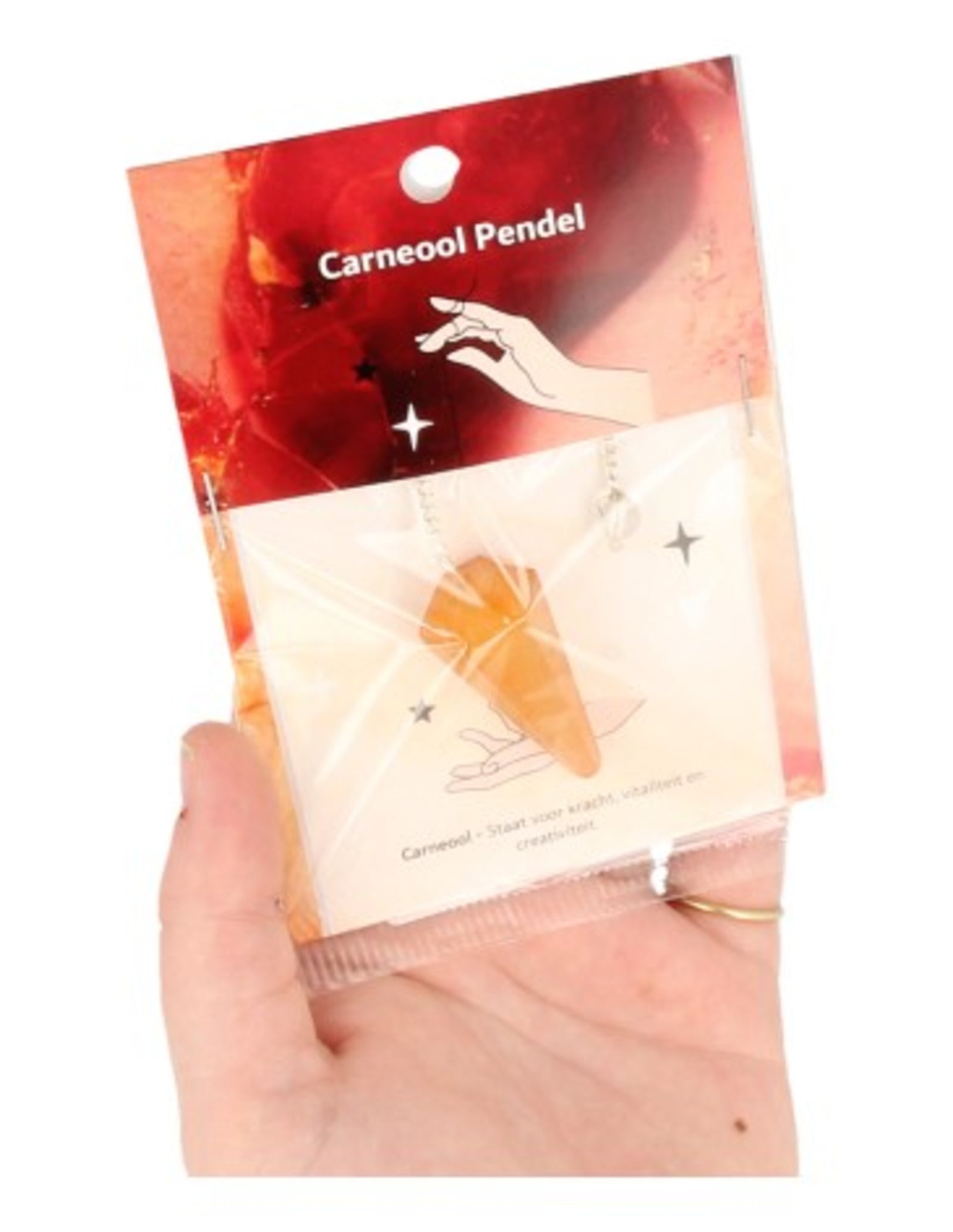 Pendel facet + kaart Carneool