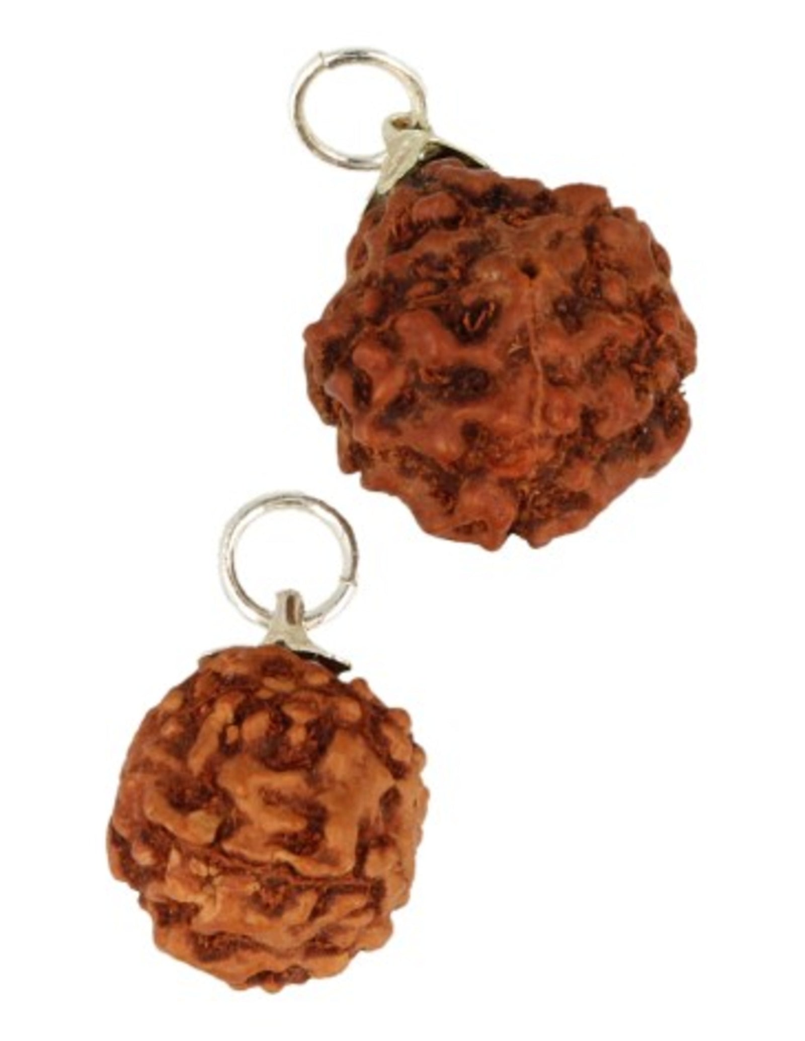 Rhudraksha edelsteen hanger