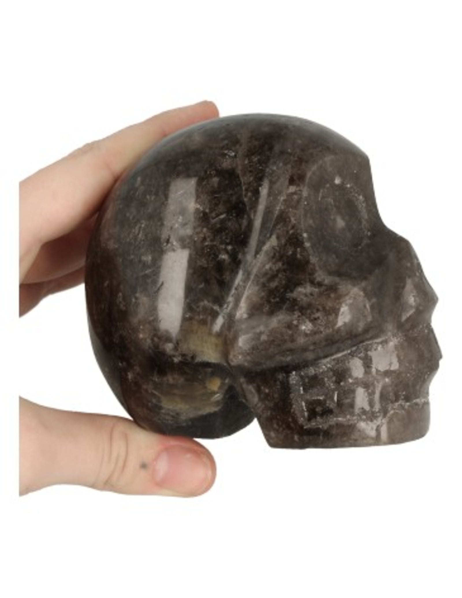 Rookkwarts schedel nr.31