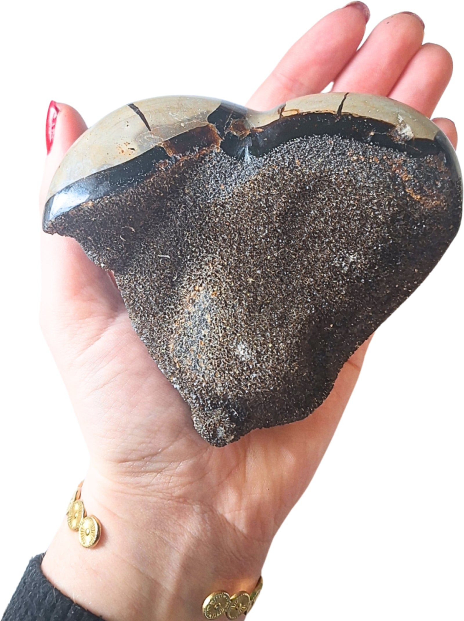 Septarie wild hart nr.06