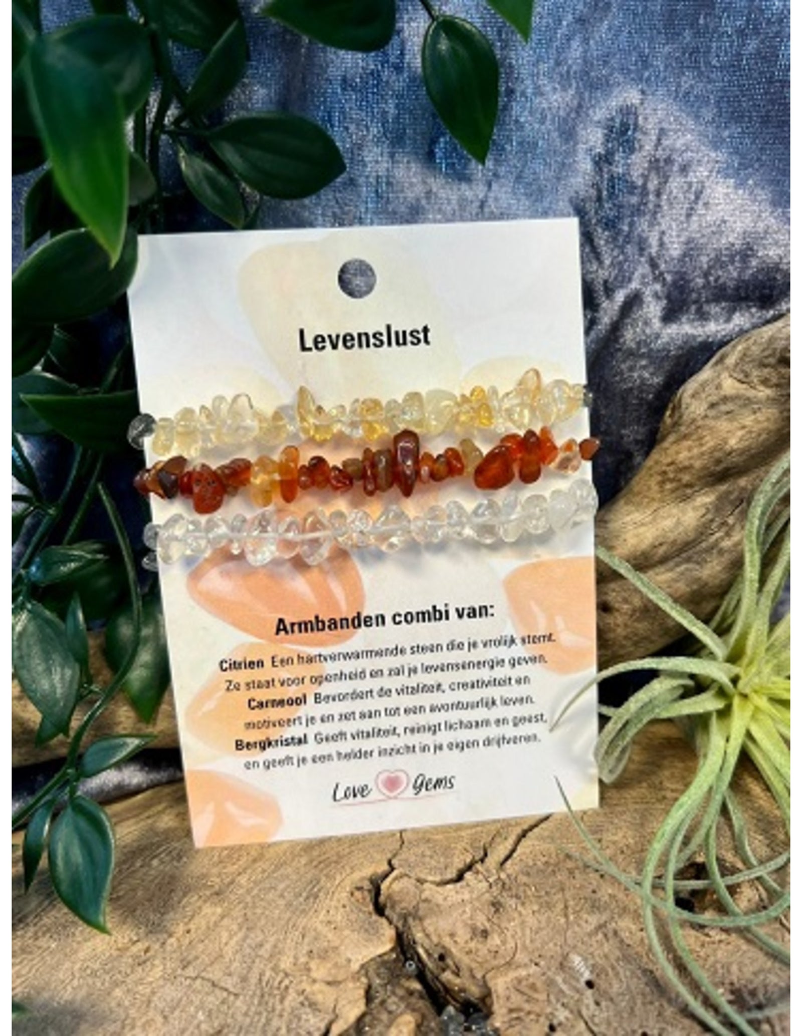 Splitarmband combi Levenslust