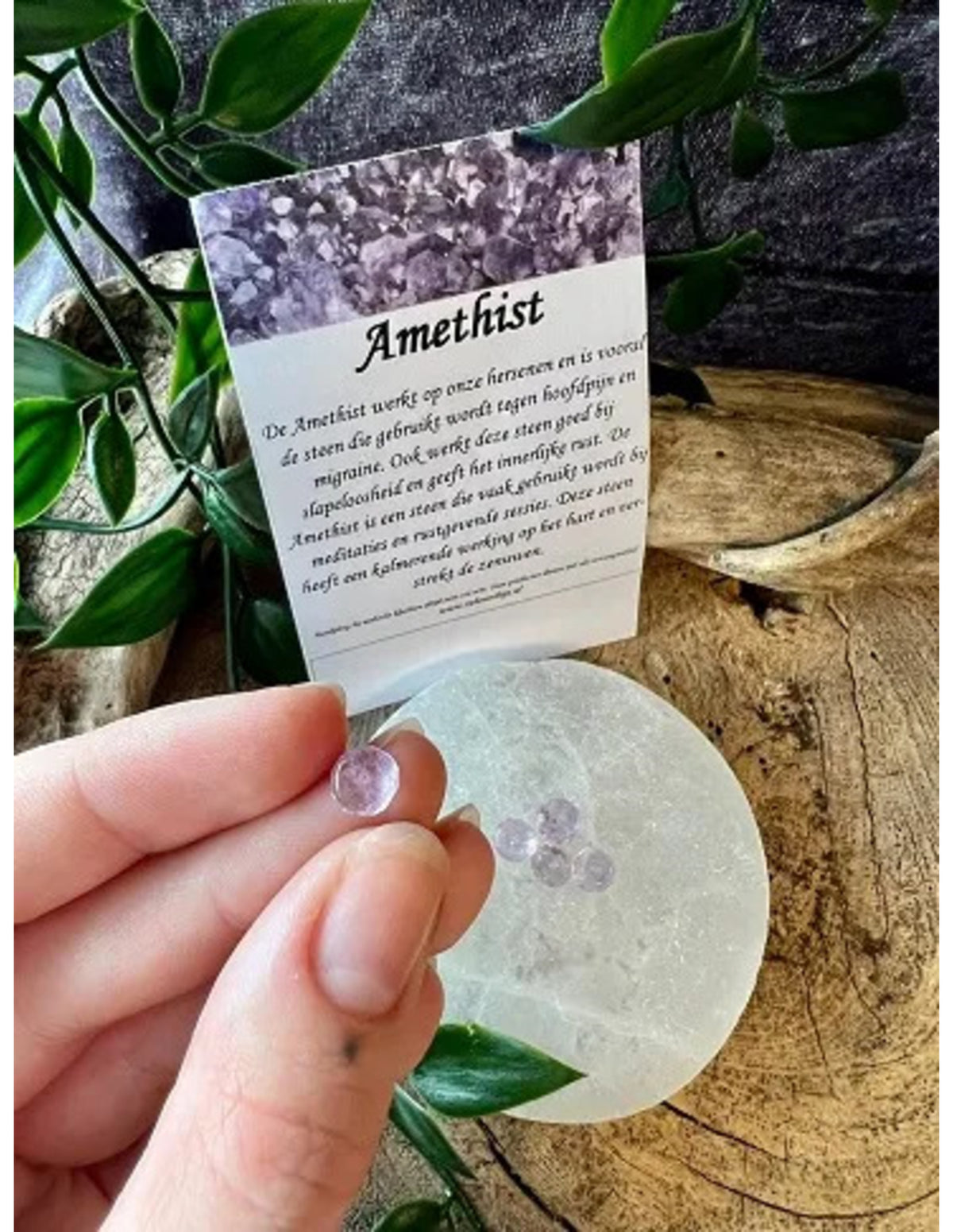 Amethist kralen facet 7mm - 5 st.