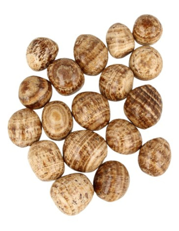 Aragoniet bruin A 250 gr. edelsteen trommelstenen (mt3)