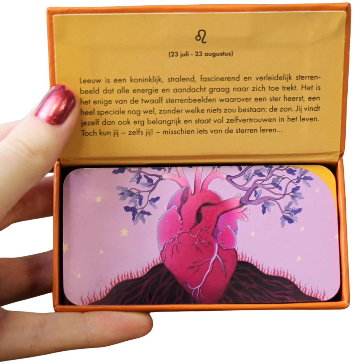 Astro pocket Leeuw