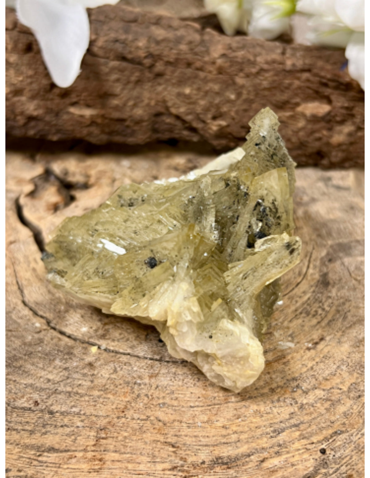 Bariet / Calciet / Chalcopyriet ruw nr.5