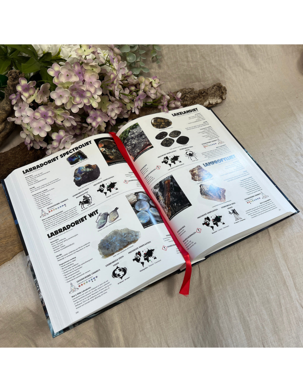 Boek: Edelsteen therapie 3.0