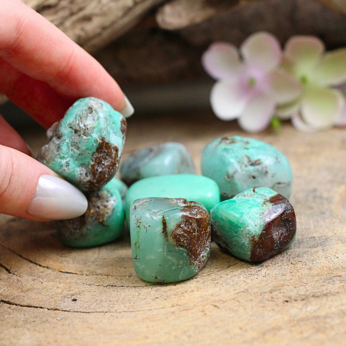 Chrysopraas 150 gr. trommelstenen (mt3)