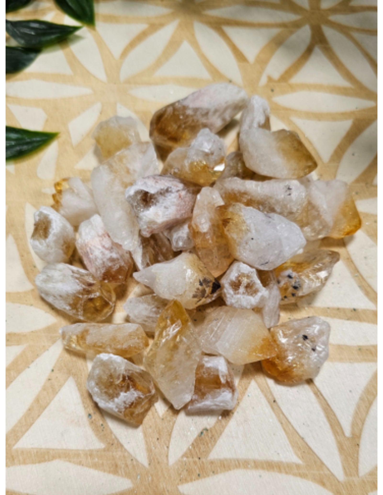 Citrien 250 gr. ruwe puntjes (verhit)
