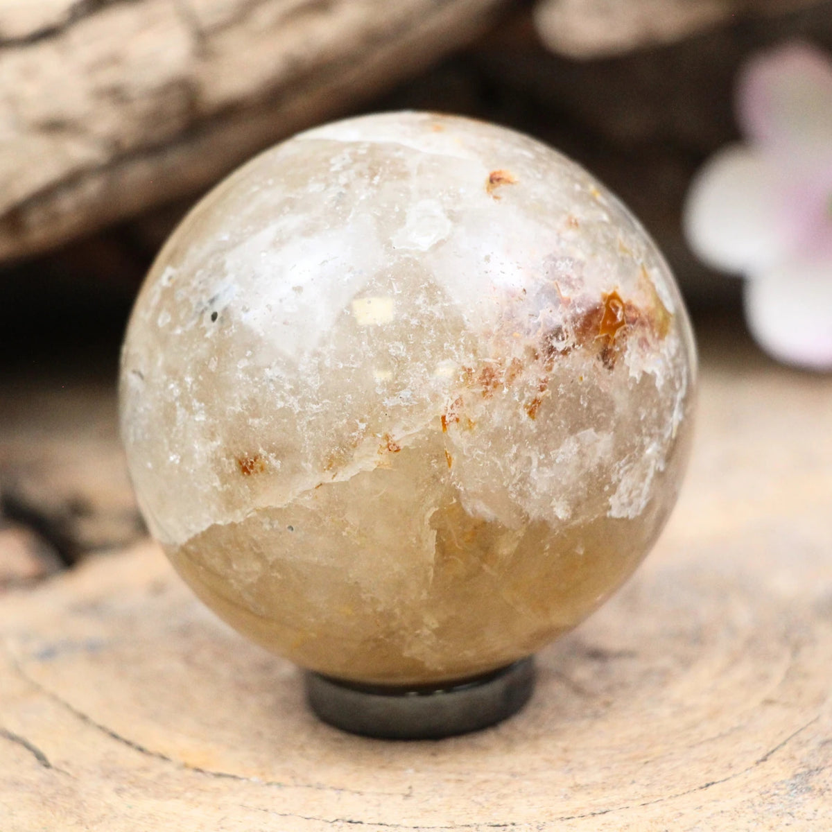 Citrien natuur bol nr.03