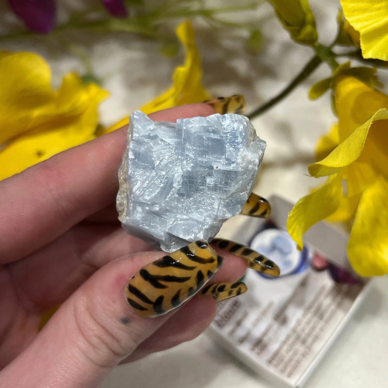 Doosje Calciet blauw