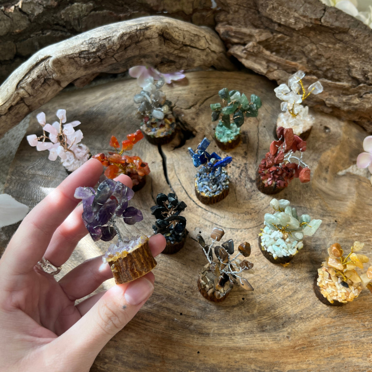 Edelsteen boompje 6 cm - Giftbox 12 stuks