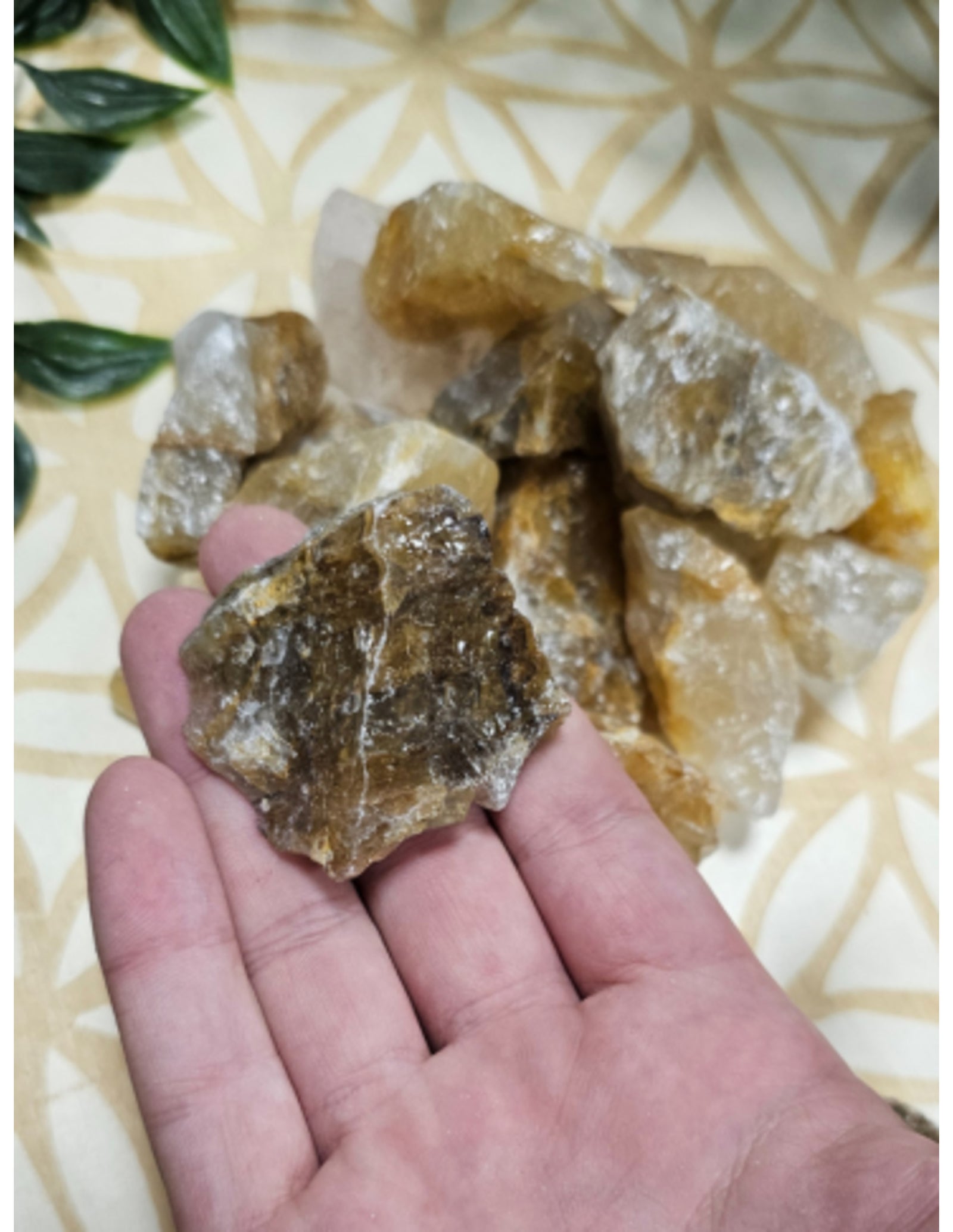Golden Healer 500 gr. ruwe brokjes