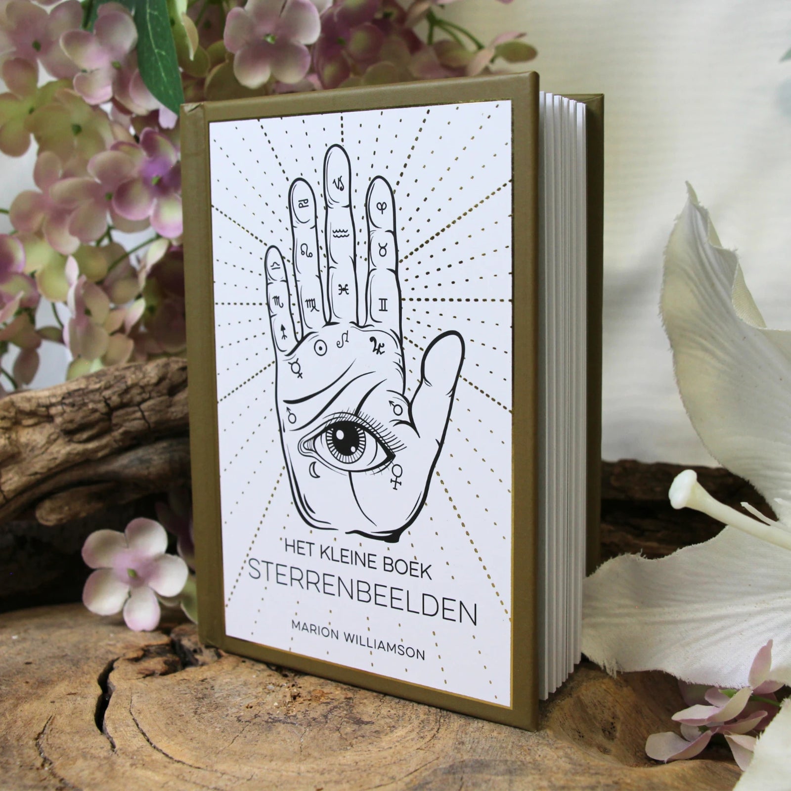 Het kleine boek sterrenbeelden
