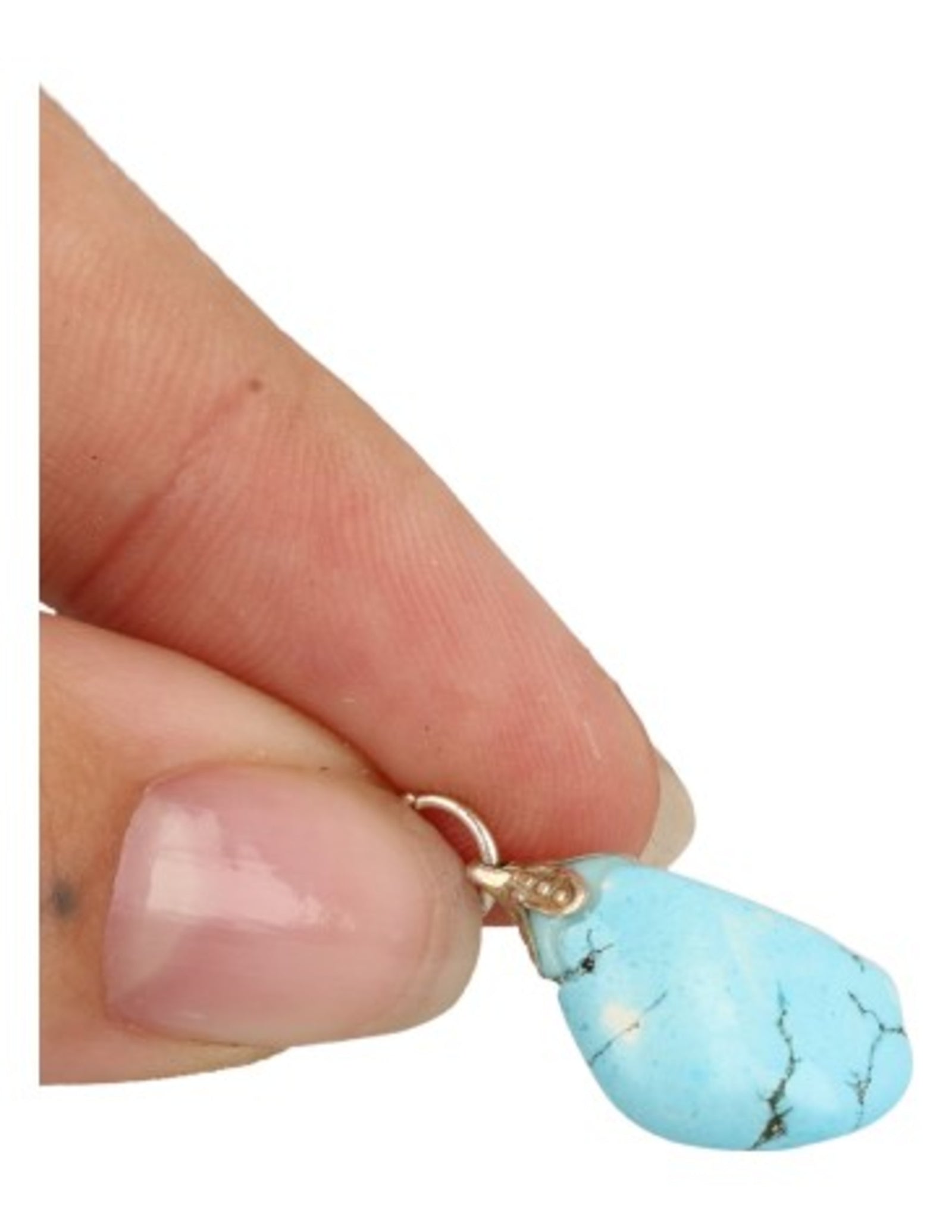 Howliet blauw edelsteen hanger (gekleurd)