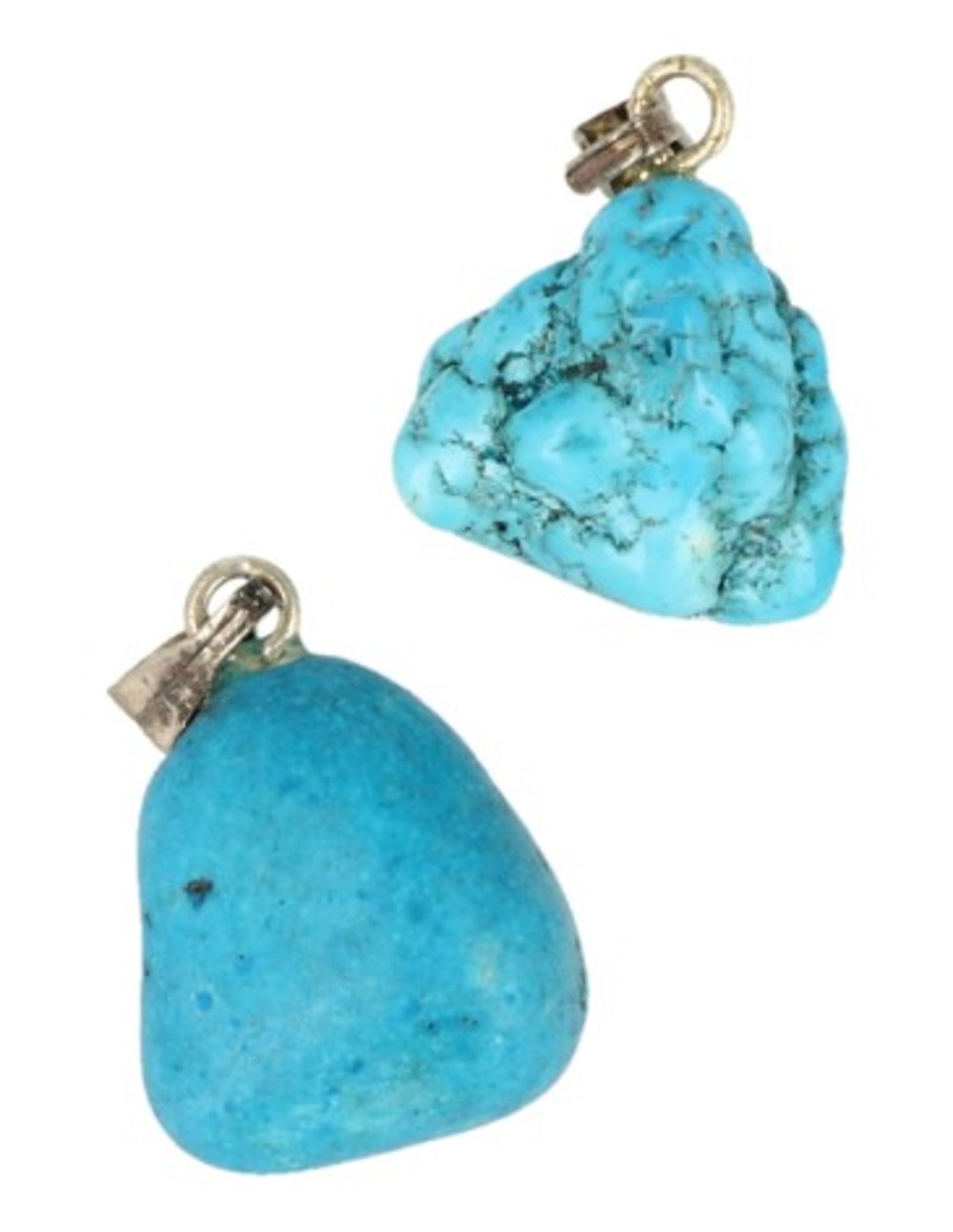 Howliet blauw edelsteen hanger (gekleurd)