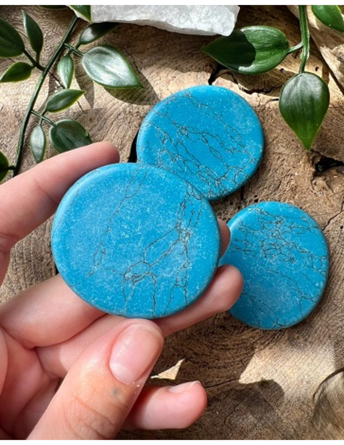 Howliet blauw zaksteen (gekleurd)