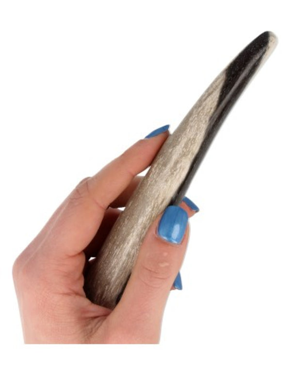 Indonesische behandelstaaf Versteend hout