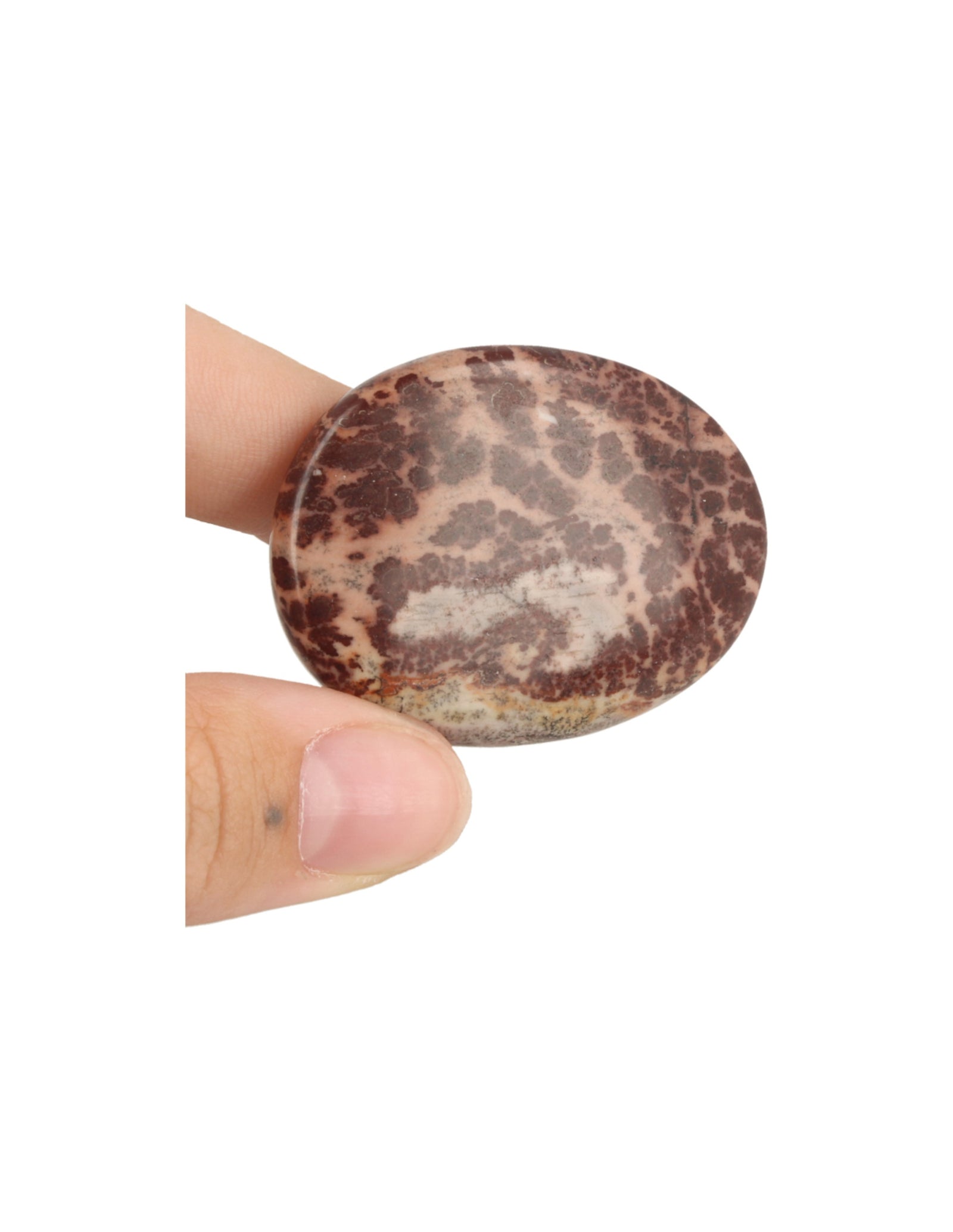 Jaspis choco zaksteen