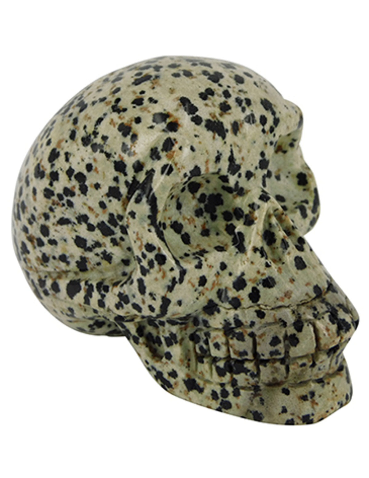 Jaspis dalmatier schedel 70 mm