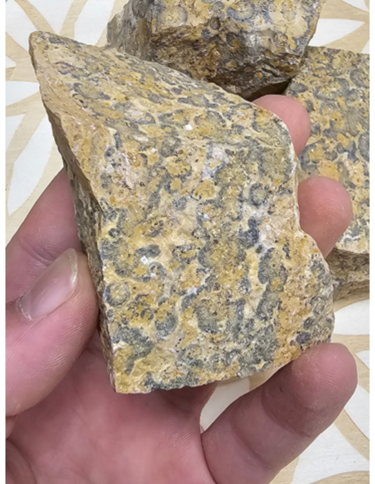 Jaspis luipaard Mexico 500 gr. ruwe brokken