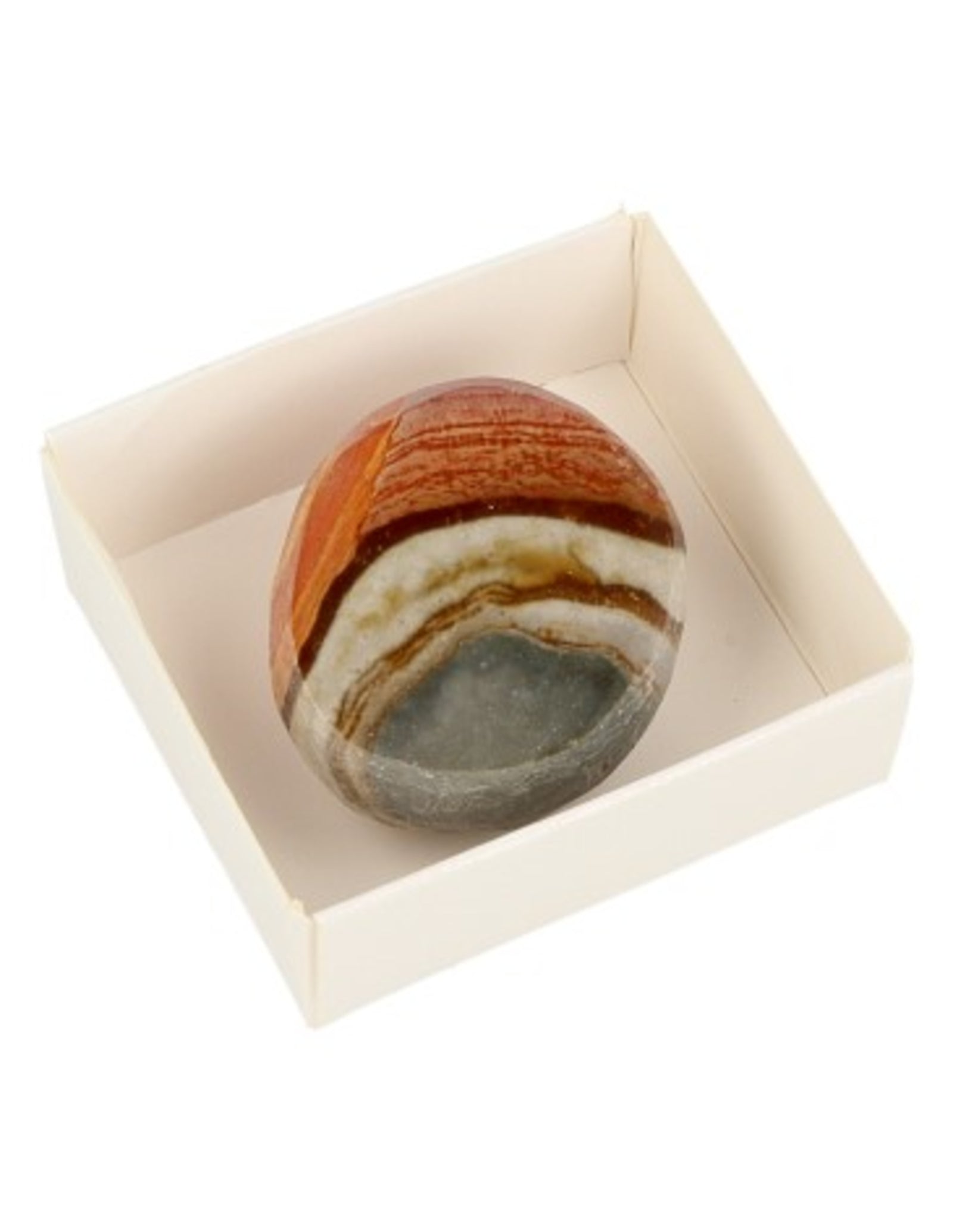 Jaspis polychroom ema egg