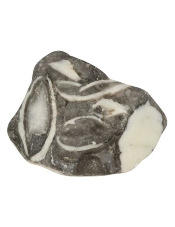 Jaspis schelp ruw - Mosselsteen 400 gram