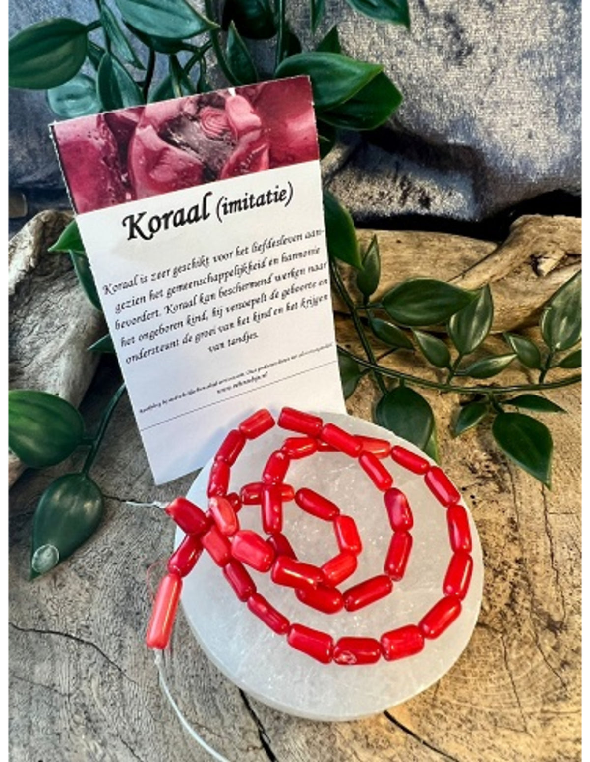 Koraal gladde staafjes kralen streng (imitatie)