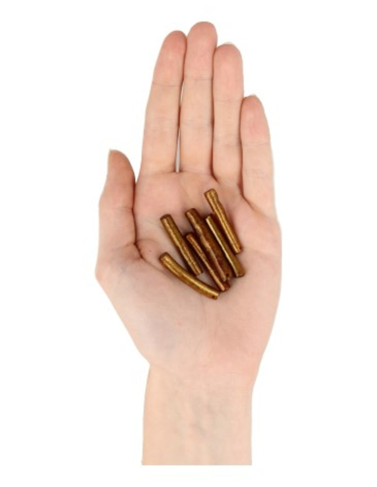 Koraal kralen goud staafje - 6 st. (imitatie)