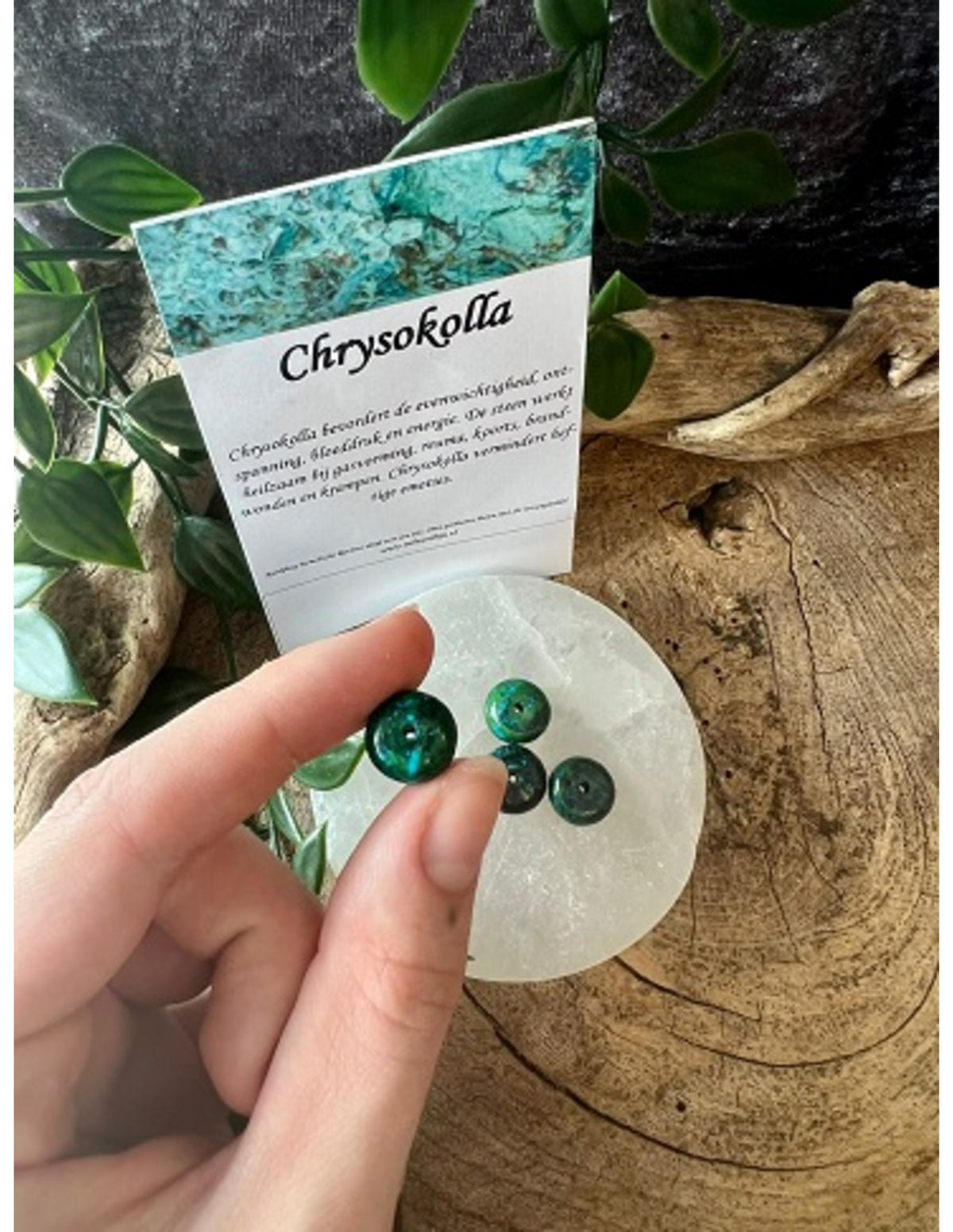 Kralen Chrysokolla disc (bijgekleurd) - 4 st.