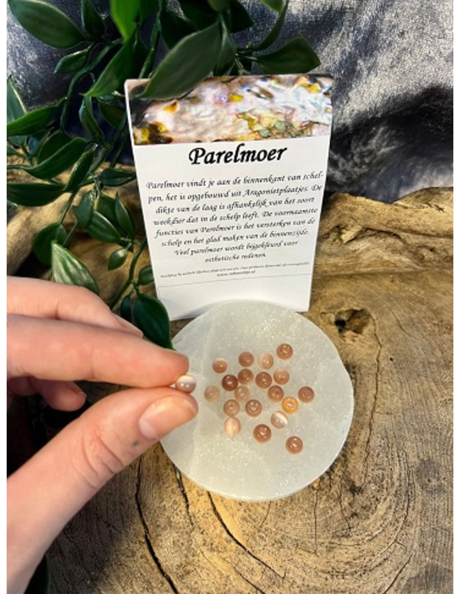 Kralen Parelmoer zalm 5 mm - 20 st. (bijgekleurd)