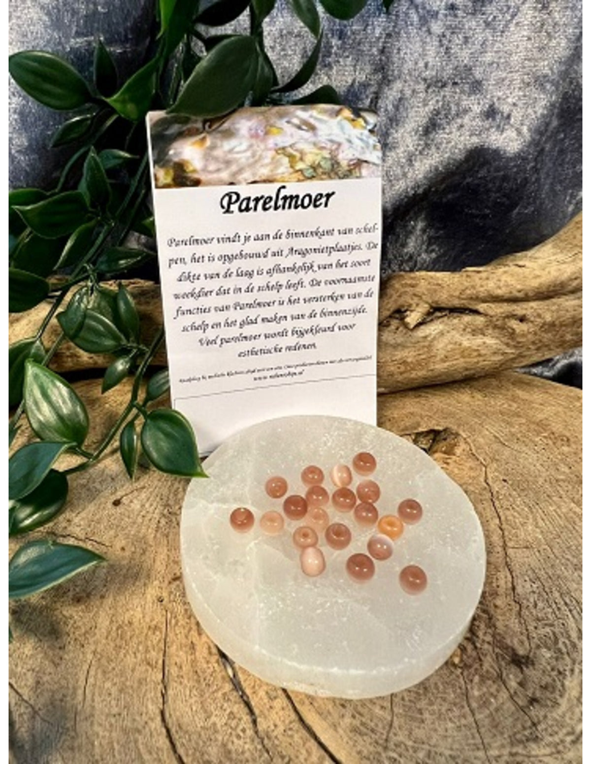 Kralen Parelmoer zalm 5 mm - 20 st. (bijgekleurd)