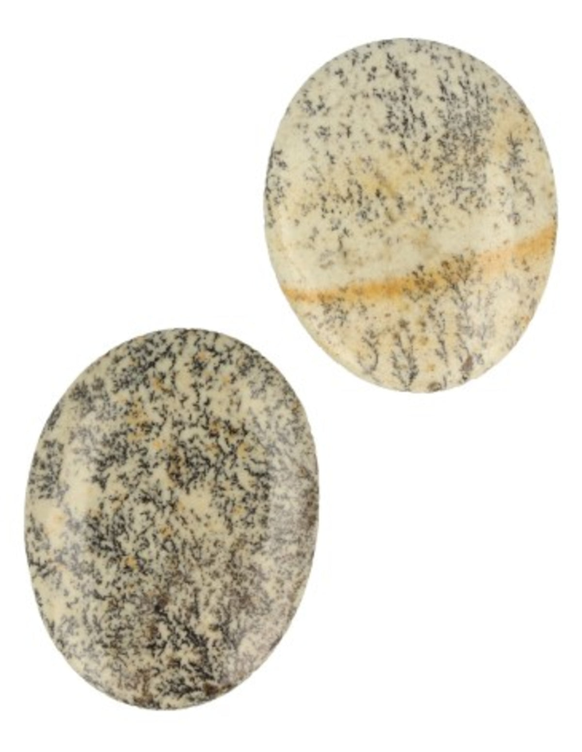 Opaal Dendriet zaksteen