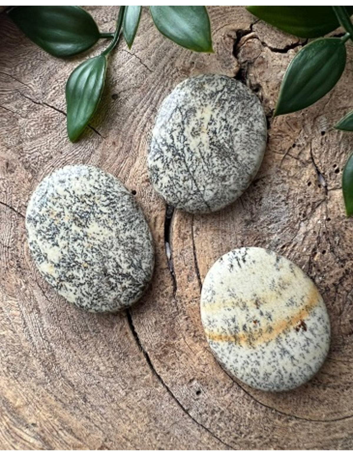 Opaal Dendriet zaksteen