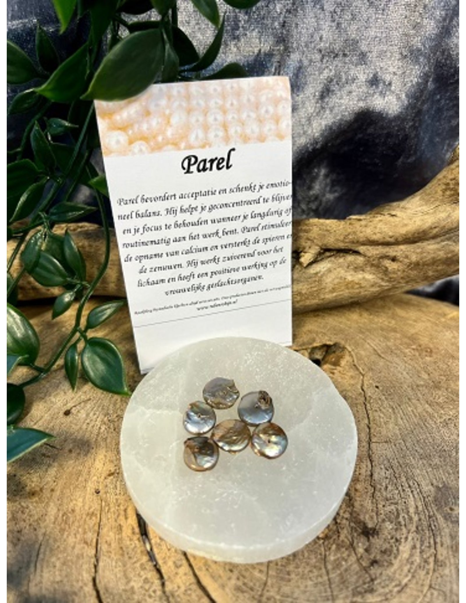 Parel disc bruin kralen - 6 st. (bijgekleurd)