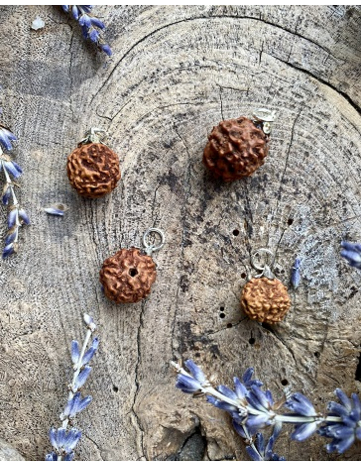 Rhudraksha edelsteen hanger