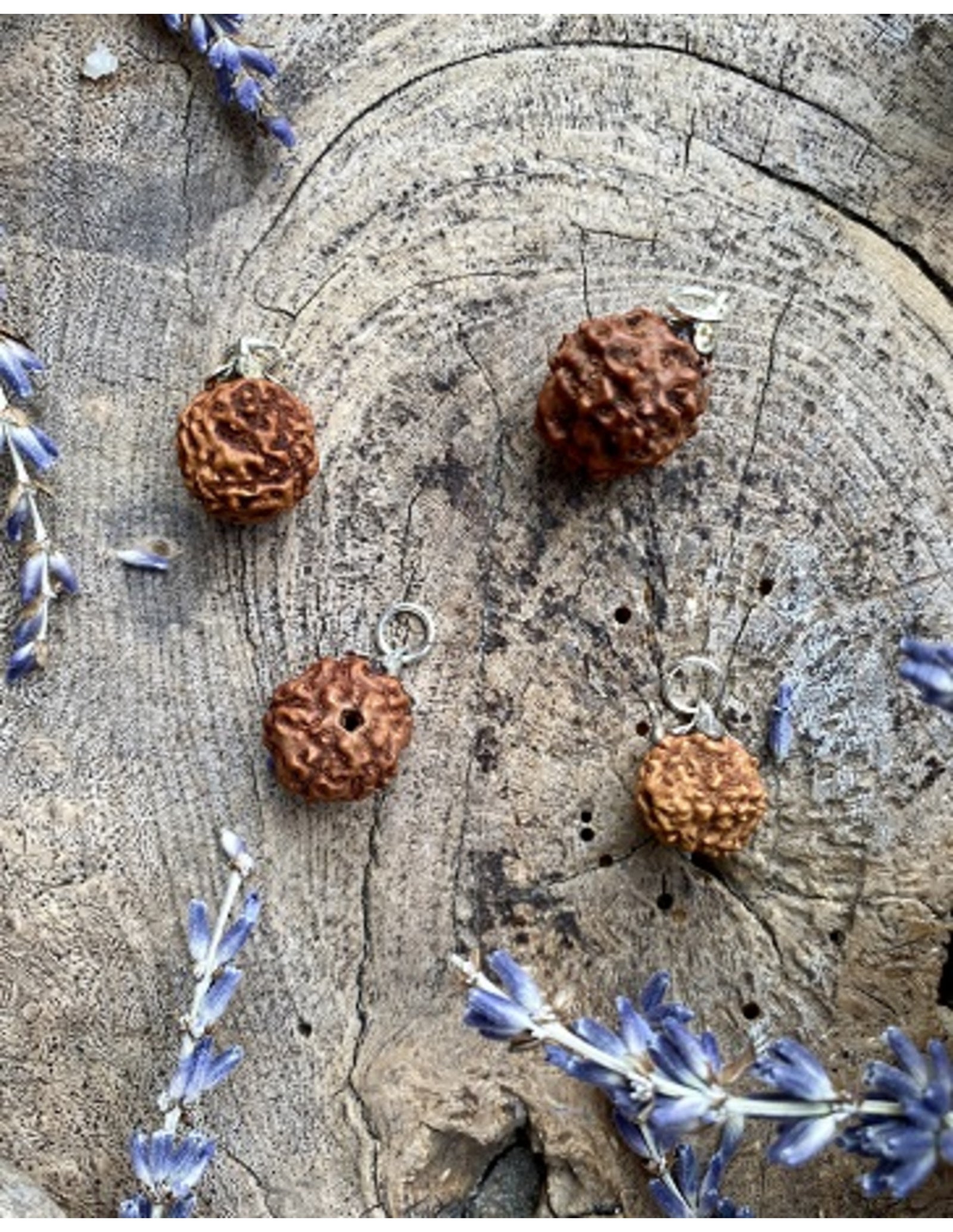 Rhudraksha edelsteen hanger