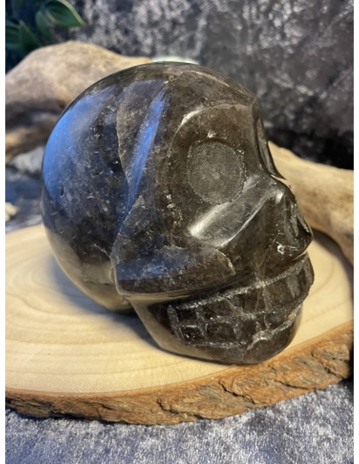 Rookkwarts schedel nr.31